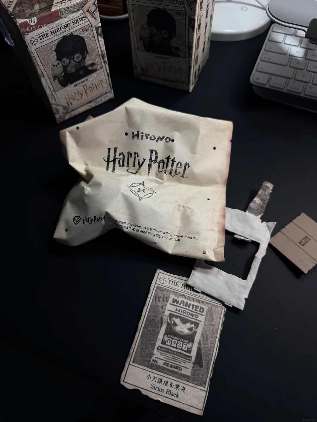 hirono_harry_potter_18
