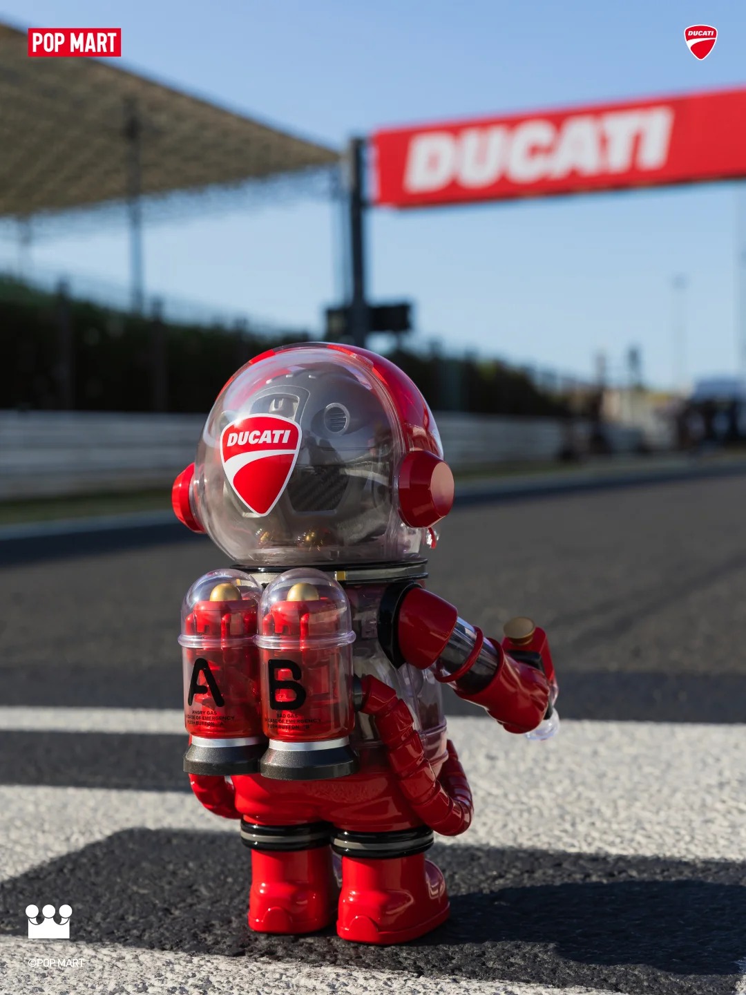 molly_ducati_4
