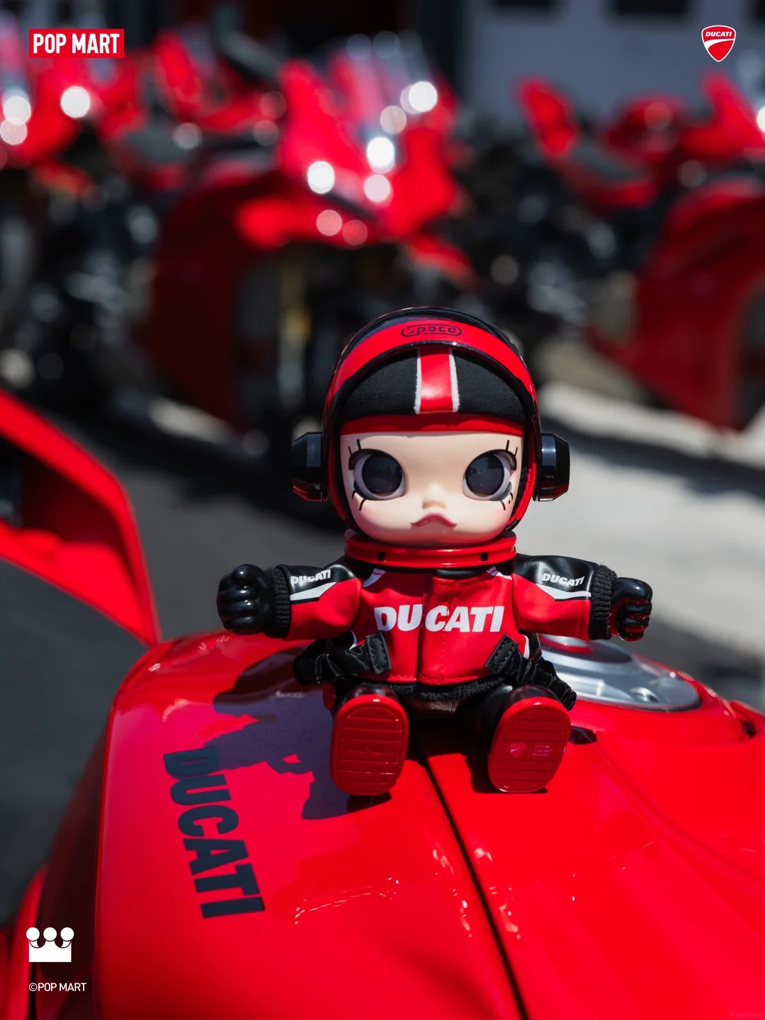 molly_ducati_6